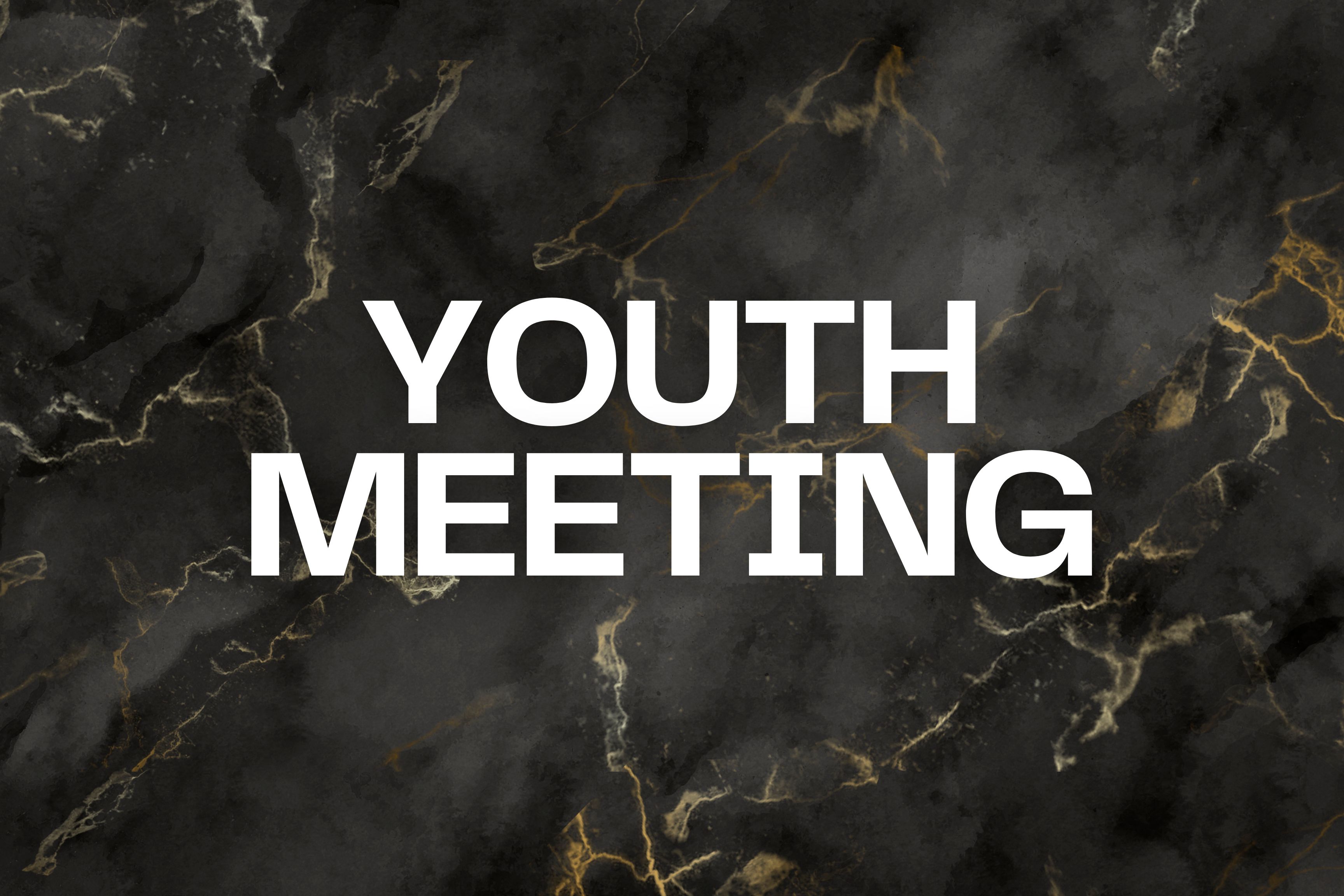 youth meeting website.jpg